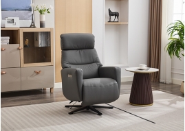 6018 # A dual motor cowhide